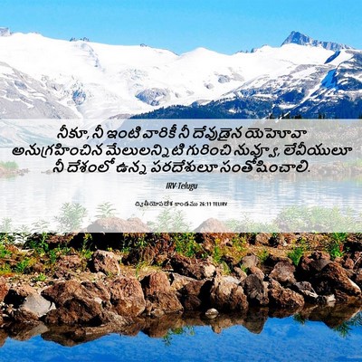 Picture 06 - ద్వితీయోపదేశ కాండము 26:11 TELIRV - నీకూ, నీ ఇంటి - Bible Verse Picture
