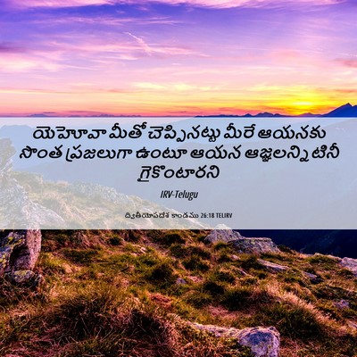 Picture 06 - ద్వితీయోపదేశ కాండము 26:18 TELIRV - యెహోవా మీతో - Bible Verse Picture