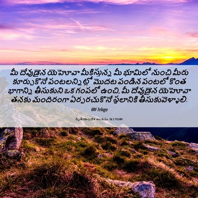Picture 06 - ద్వితీయోపదేశ కాండము 26:2 TELIRV - మీ దేవుడైన యెహోవా - Bible Verse Picture