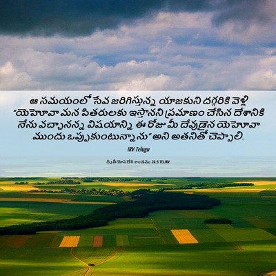 Picture 06 - ద్వితీయోపదేశ కాండము 26:3 TELIRV - ఆ సమయంలో సేవ - Bible Verse Picture