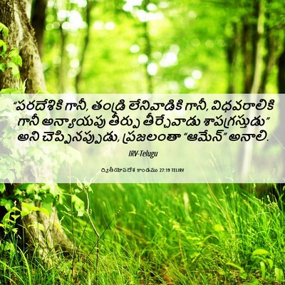 Picture 06 - ద్వితీయోపదేశ కాండము 27:19 TELIRV - “పరదేశికి గానీ, - Bible Verse Picture