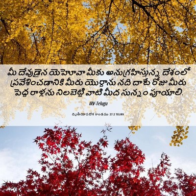 Picture 06 - ద్వితీయోపదేశ కాండము 27:2 TELIRV - మీ దేవుడైన యెహోవా - Bible Verse Picture