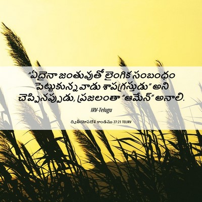 Picture 06 - ద్వితీయోపదేశ కాండము 27:21 TELIRV - “ఏదైనా జంతువుతో - Bible Verse Picture