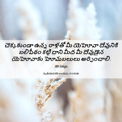 Picture 06 - ద్వితీయోపదేశ కాండము 27:6 TELIRV - చెక్కకుండా ఉన్న - Bible Verse Picture