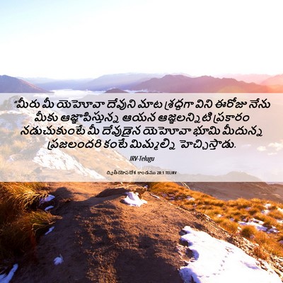 Picture 06 - ద్వితీయోపదేశ కాండము 28:1 TELIRV - “మీరు మీ యెహోవా - Bible Verse Picture