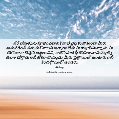 Picture 06 - ద్వితీయోపదేశ కాండము 28:14 TELIRV - వేరే దేవుళ్ళను - Bible Verse Picture