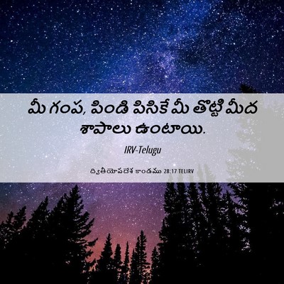 Picture 06 - ద్వితీయోపదేశ కాండము 28:17 TELIRV - మీ గంప, పిండి - Bible Verse Picture