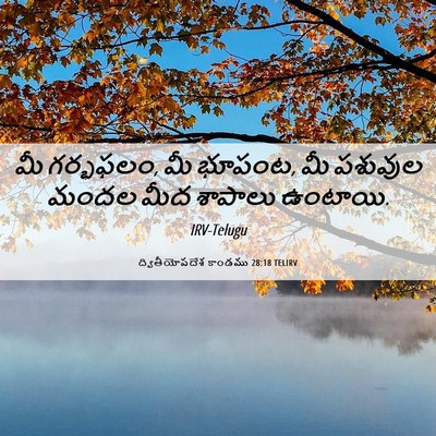 Picture 06 - ద్వితీయోపదేశ కాండము 28:18 TELIRV - మీ గర్భఫలం, మీ - Bible Verse Picture