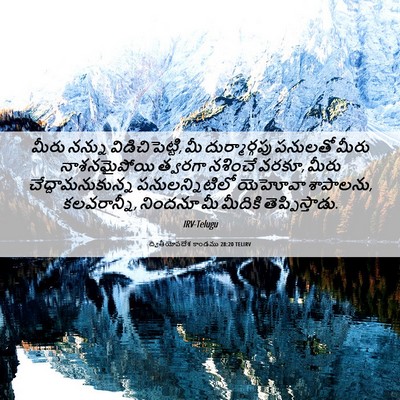 Picture 06 - ద్వితీయోపదేశ కాండము 28:20 TELIRV - మీరు నన్ను - Bible Verse Picture