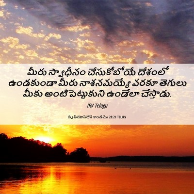 Picture 06 - ద్వితీయోపదేశ కాండము 28:21 TELIRV - మీరు స్వాధీనం - Bible Verse Picture