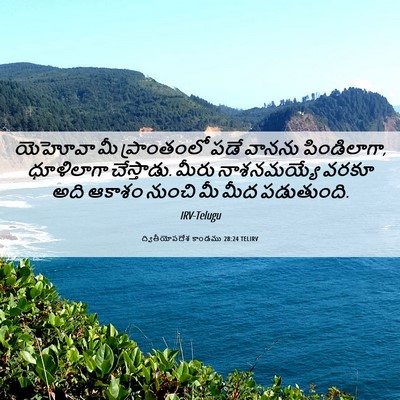 Picture 06 - ద్వితీయోపదేశ కాండము 28:24 TELIRV - యెహోవా మీ - Bible Verse Picture