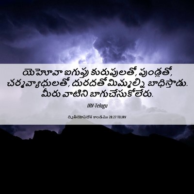 Picture 06 - ద్వితీయోపదేశ కాండము 28:27 TELIRV - యెహోవా ఐగుప్తు - Bible Verse Picture