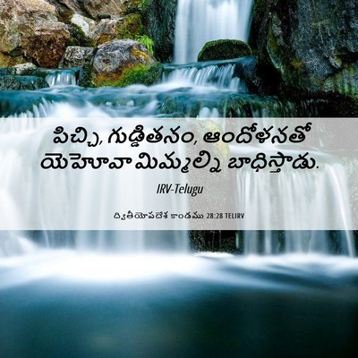 Picture 06 - ద్వితీయోపదేశ కాండము 28:28 TELIRV - పిచ్చి, గుడ్డితనం, - Bible Verse Picture