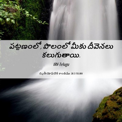 Picture 06 - ద్వితీయోపదేశ కాండము 28:3 TELIRV - పట్టణంలో, పొలంలో - Bible Verse Picture