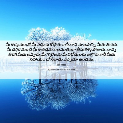Picture 06 - ద్వితీయోపదేశ కాండము 28:31 TELIRV - మీ కళ్ళముందే మీ - Bible Verse Picture