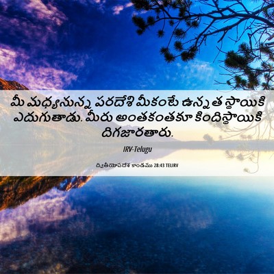 Picture 06 - ద్వితీయోపదేశ కాండము 28:43 TELIRV - మీ మధ్యనున్న - Bible Verse Picture