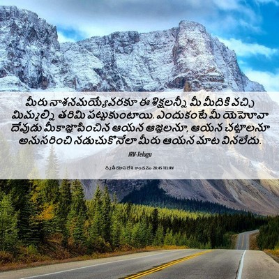 Picture 06 - ద్వితీయోపదేశ కాండము 28:45 TELIRV - మీరు - Bible Verse Picture