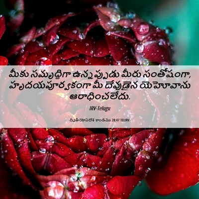 Picture 06 - ద్వితీయోపదేశ కాండము 28:47 TELIRV - మీకు సమృద్ధిగా - Bible Verse Picture