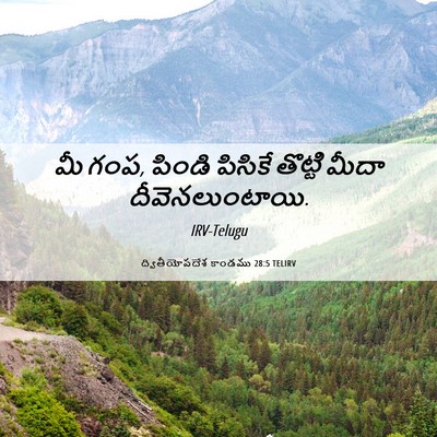 Picture 06 - ద్వితీయోపదేశ కాండము 28:5 TELIRV - మీ గంప, పిండి - Bible Verse Picture
