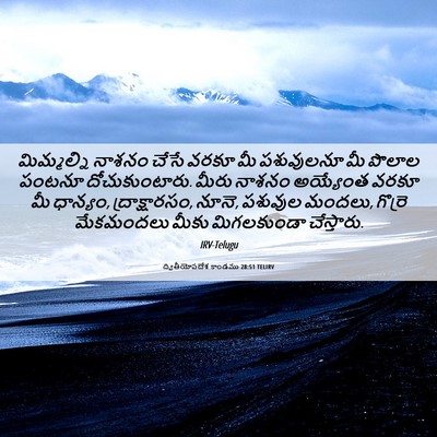 Picture 06 - ద్వితీయోపదేశ కాండము 28:51 TELIRV - మిమ్మల్ని నాశనం - Bible Verse Picture