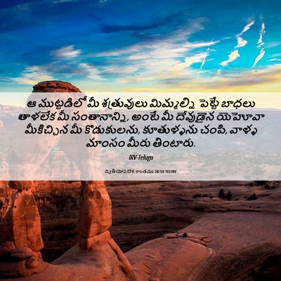 Picture 06 - ద్వితీయోపదేశ కాండము 28:53 TELIRV - ఆ ముట్టడిలో మీ - Bible Verse Picture