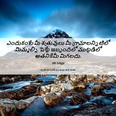 Picture 06 - ద్వితీయోపదేశ కాండము 28:55 TELIRV - ఎందుకంటే మీ - Bible Verse Picture