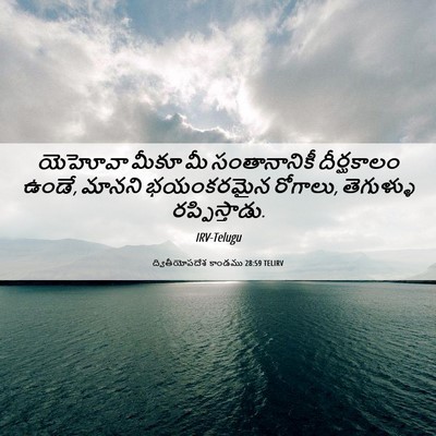Picture 06 - ద్వితీయోపదేశ కాండము 28:59 TELIRV - యెహోవా మీకూ మీ - Bible Verse Picture