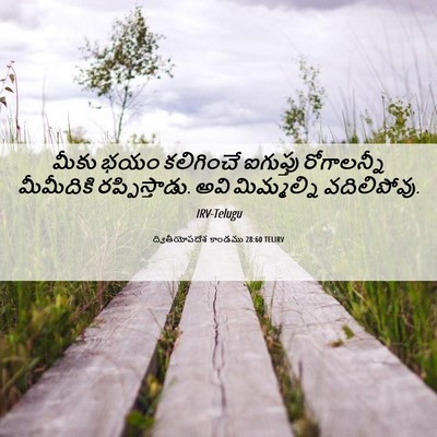 Picture 06 - ద్వితీయోపదేశ కాండము 28:60 TELIRV - మీకు భయం కలిగించే - Bible Verse Picture