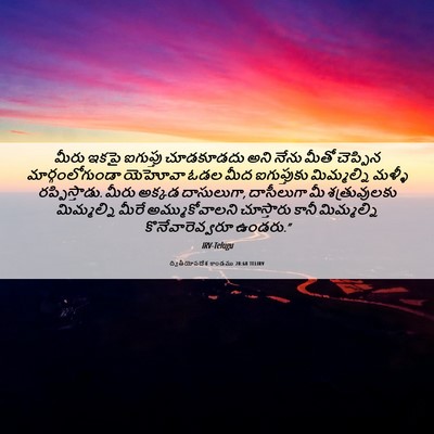 Picture 06 - ద్వితీయోపదేశ కాండము 28:68 TELIRV - మీరు ఇకపై ఐగుప్తు - Bible Verse Picture