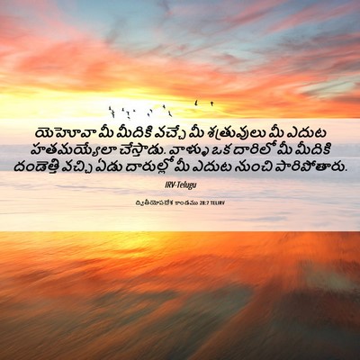 Picture 06 - ద్వితీయోపదేశ కాండము 28:7 TELIRV - యెహోవా మీ మీదికి - Bible Verse Picture
