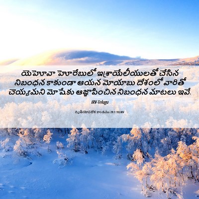 Picture 06 - ద్వితీయోపదేశ కాండము 29:1 TELIRV - యెహోవా హోరేబులో - Bible Verse Picture