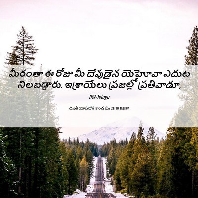 Picture 06 - ద్వితీయోపదేశ కాండము 29:10 TELIRV - మీరంతా ఈ రోజు మీ - Bible Verse Picture