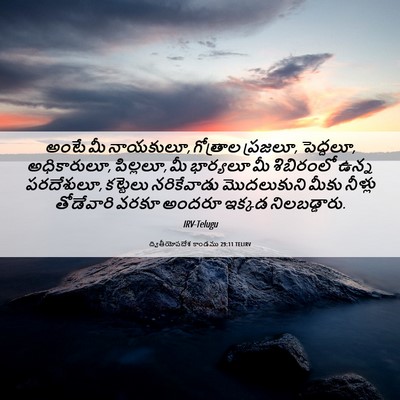 Picture 06 - ద్వితీయోపదేశ కాండము 29:11 TELIRV - అంటే మీ నాయకులూ, - Bible Verse Picture