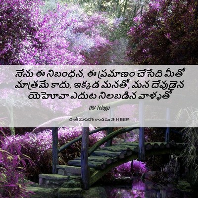 Picture 06 - ద్వితీయోపదేశ కాండము 29:14 TELIRV - నేను ఈ నిబంధన, ఈ - Bible Verse Picture