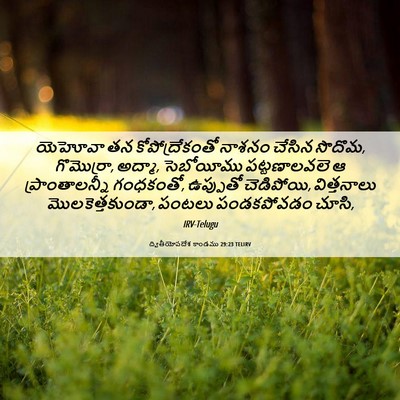 Picture 06 - ద్వితీయోపదేశ కాండము 29:23 TELIRV - యెహోవా తన - Bible Verse Picture