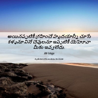 Picture 06 - ద్వితీయోపదేశ కాండము 29:4 TELIRV - అయినప్పటికీ - Bible Verse Picture