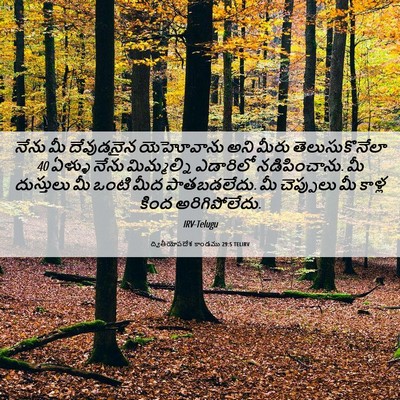 Picture 06 - ద్వితీయోపదేశ కాండము 29:5 TELIRV - నేను మీ దేవుడనైన - Bible Verse Picture