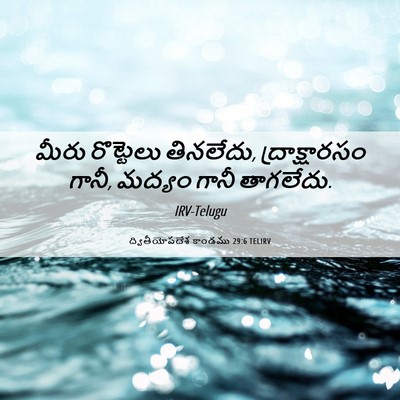 Picture 06 - ద్వితీయోపదేశ కాండము 29:6 TELIRV - మీరు రొట్టెలు - Bible Verse Picture