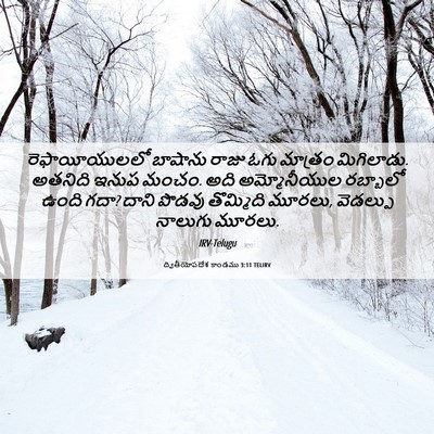Picture 06 - ద్వితీయోపదేశ కాండము 3:11 TELIRV - రెఫాయీయులలో - Bible Verse Picture