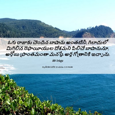 Picture 06 - ద్వితీయోపదేశ కాండము 3:13 TELIRV - ఓగు రాజుకు చెందిన - Bible Verse Picture