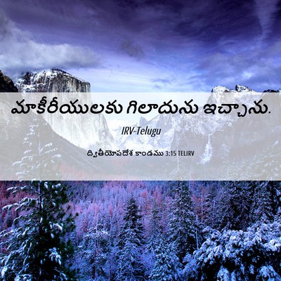 Picture 06 - ద్వితీయోపదేశ కాండము 3:15 TELIRV - మాకీరీయులకు - Bible Verse Picture