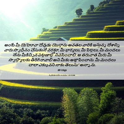 Picture 06 - ద్వితీయోపదేశ కాండము 3:20 TELIRV - అంటే మీ యెహోవా - Bible Verse Picture