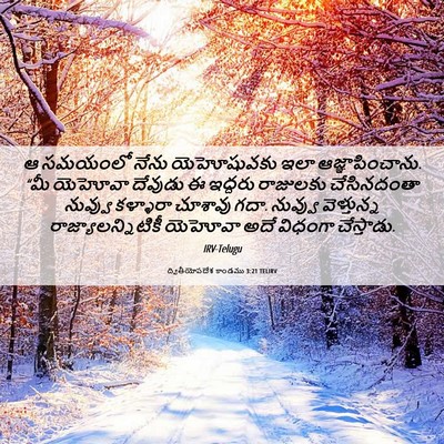 Picture 06 - ద్వితీయోపదేశ కాండము 3:21 TELIRV - ఆ సమయంలో నేను - Bible Verse Picture