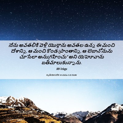 Picture 06 - ద్వితీయోపదేశ కాండము 3:25 TELIRV - నేను అవతలికి - Bible Verse Picture