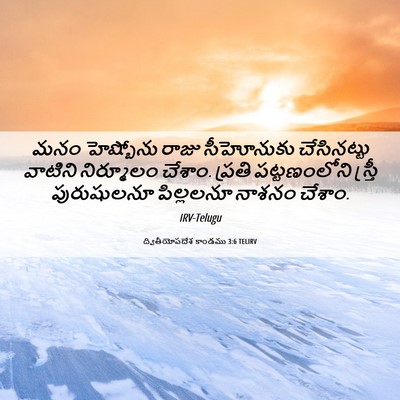 Picture 06 - ద్వితీయోపదేశ కాండము 3:6 TELIRV - మనం హెష్బోను రాజు - Bible Verse Picture