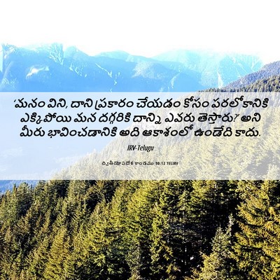 Picture 06 - ద్వితీయోపదేశ కాండము 30:12 TELIRV - ‘మనం విని, దాని - Bible Verse Picture