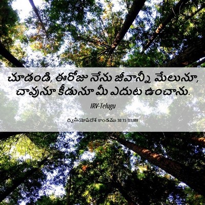 Picture 06 - ద్వితీయోపదేశ కాండము 30:15 TELIRV - చూడండి, ఈరోజు నేను - Bible Verse Picture
