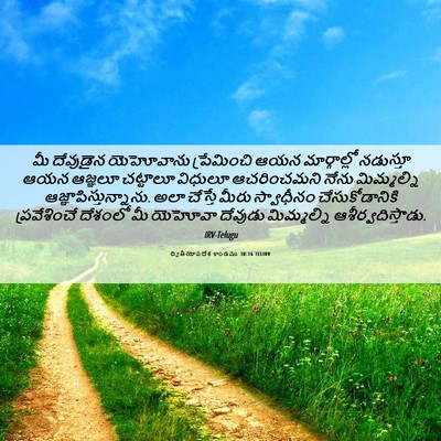 Picture 06 - ద్వితీయోపదేశ కాండము 30:16 TELIRV - మీ దేవుడైన - Bible Verse Picture