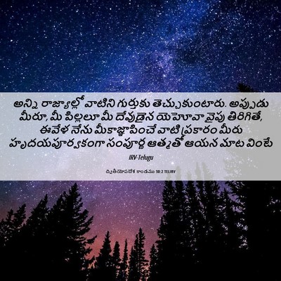 Picture 06 - ద్వితీయోపదేశ కాండము 30:2 TELIRV - అన్ని రాజ్యాల్లో - Bible Verse Picture