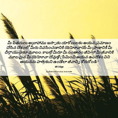 Picture 06 - ద్వితీయోపదేశ కాండము 30:20 TELIRV - మీ పితరులు - Bible Verse Picture